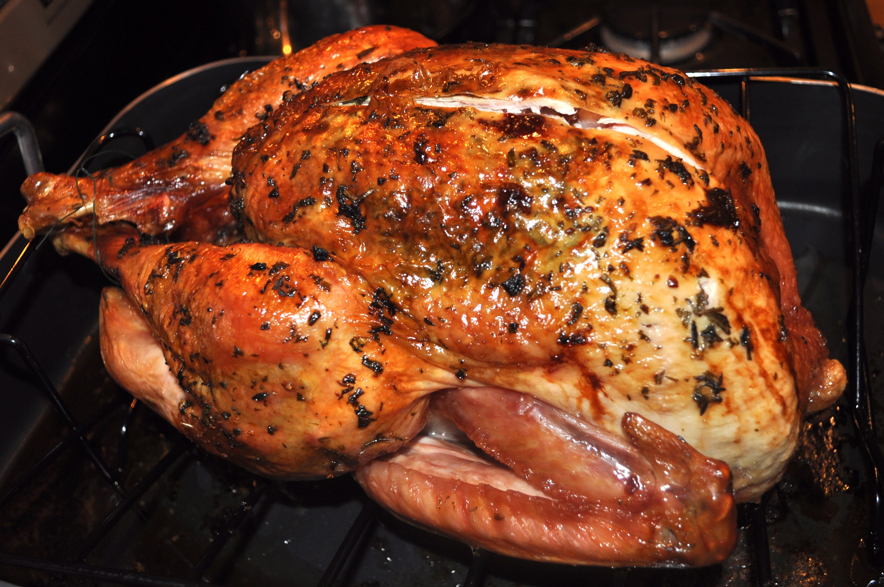 Alton Brown S Classic Brined And Roasted Turkey Steve S Edition Stlbankster Copy Me That