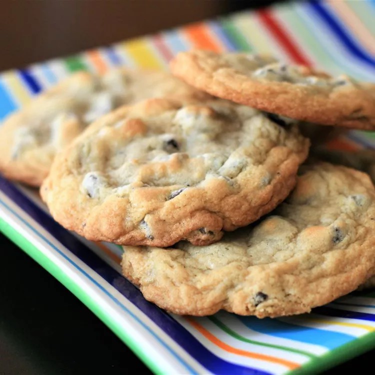 Best Chocolate Chip Cookies Recipe (With Video)