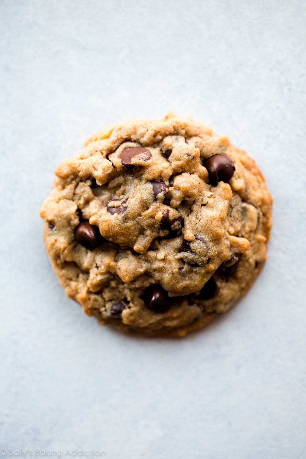 Big Fat Peanut Butter Oatmeal Chocolate Chip Cookies | WendyMac | Copy ...