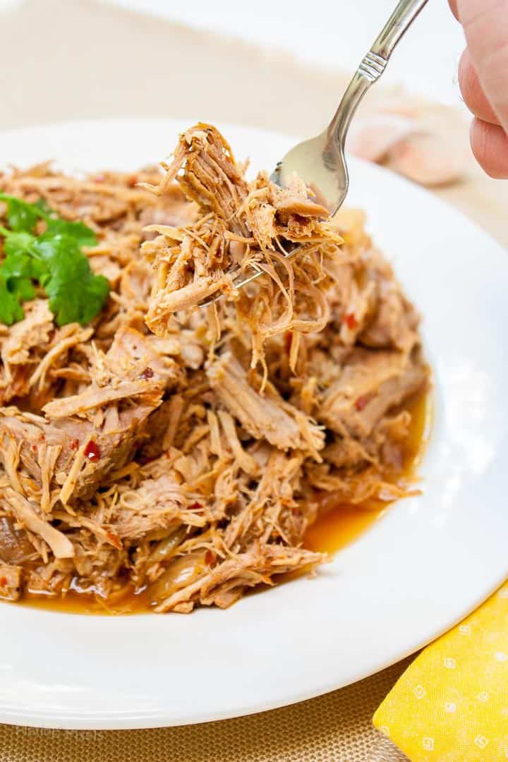 Carolina Slow Cooker Pulled Pork | Theresa Kelley Ryan | Copy Me That