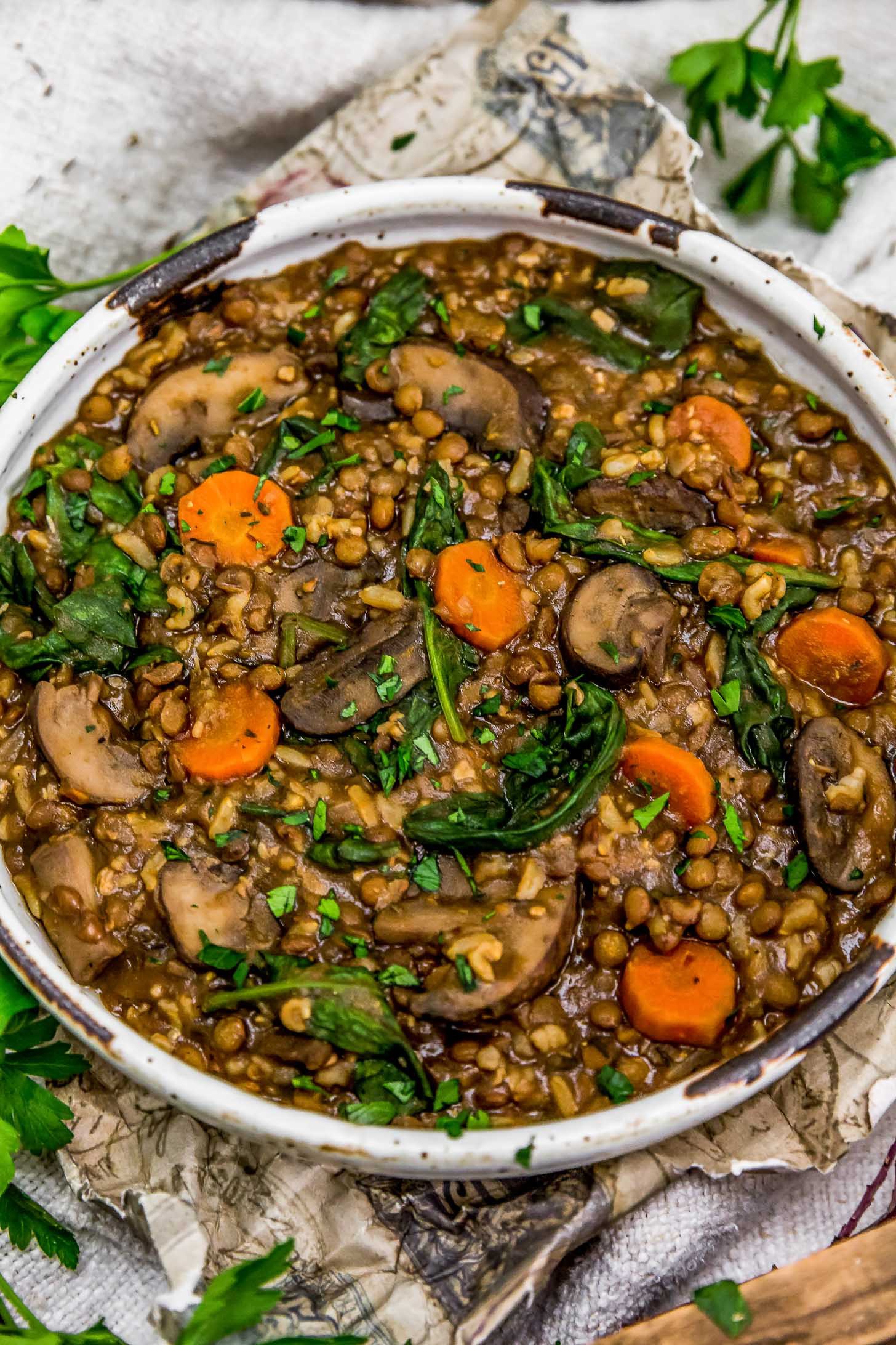 French Lentil Rice Mushroom Stew | Elkdog | Copy Me That
