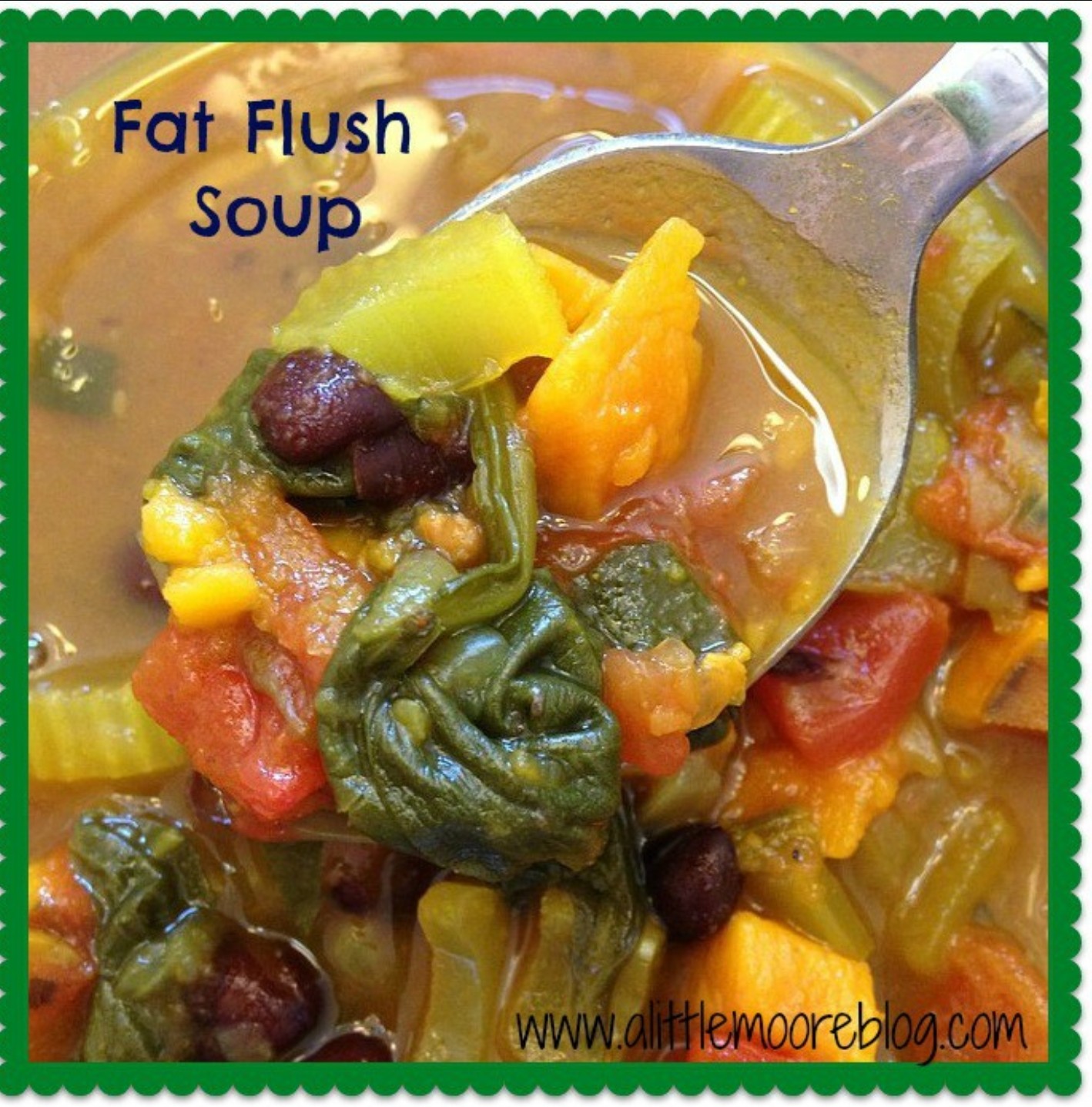 Jj Smith Fat Flush Soup Recipe