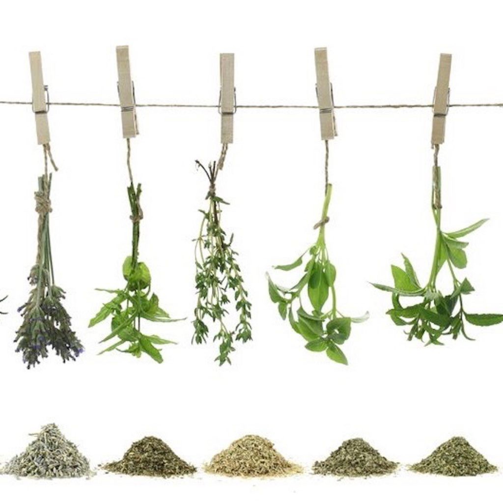 infographic-ratio-chart-converting-fresh-herbs-to-dry-herbs-to-ground