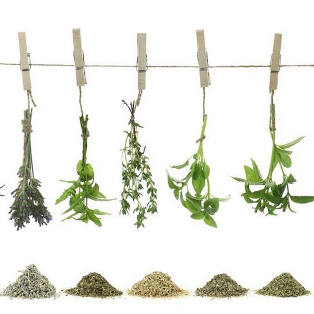 infographic-ratio-chart-converting-fresh-herbs-to-dry-herbs-to-ground-herbs-kemiz-copy-me-that