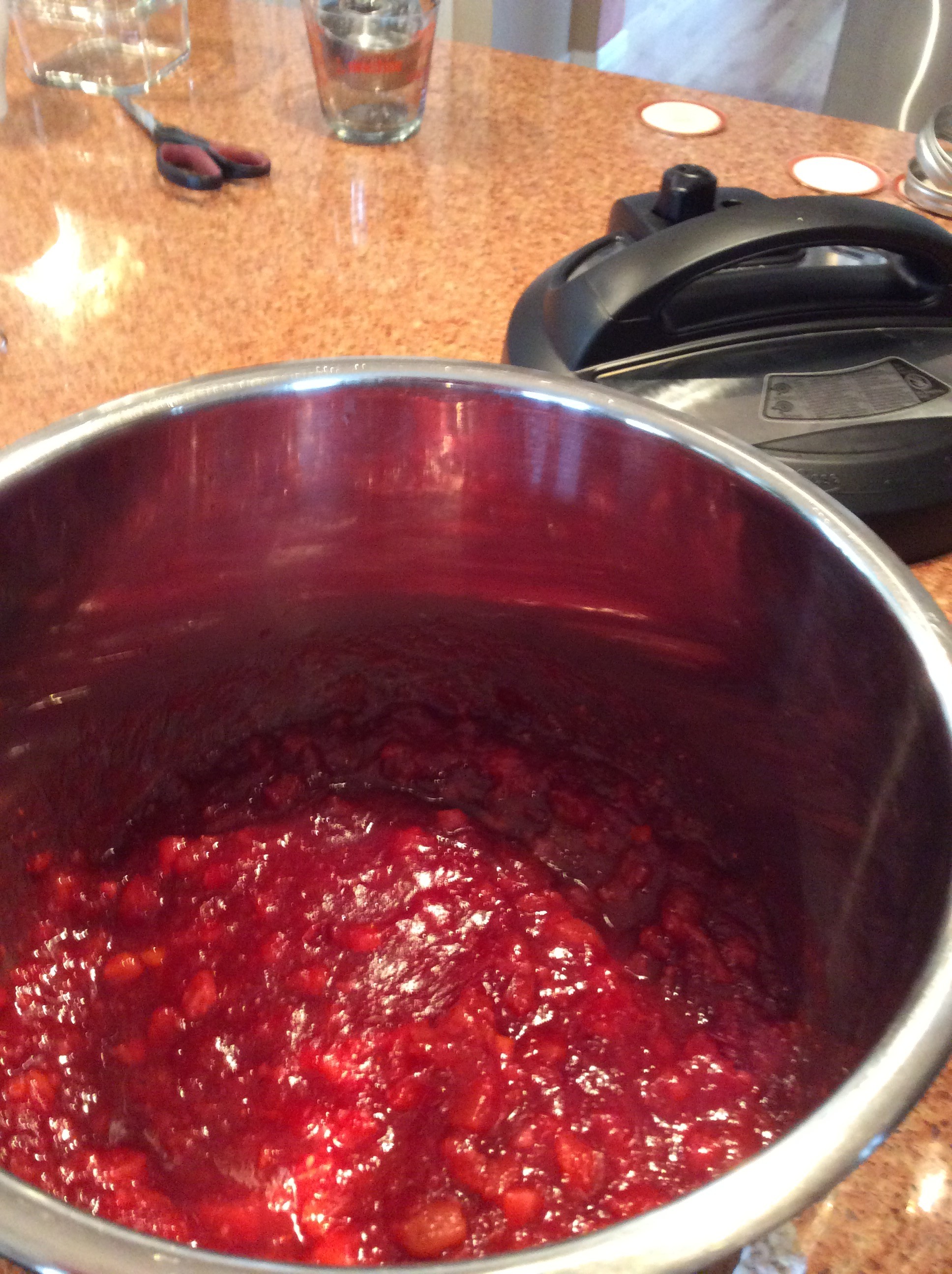 Instant Pot Cranberry Conserve | MBrecht | Copy Me That