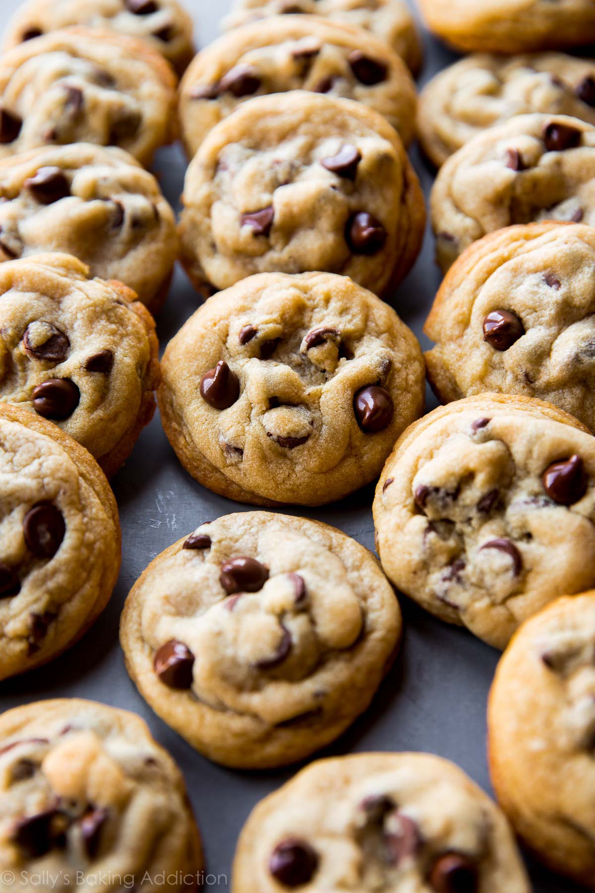 The Best Soft Chocolate Chip Cookies | Wendy Blatchley | Copy Me That
