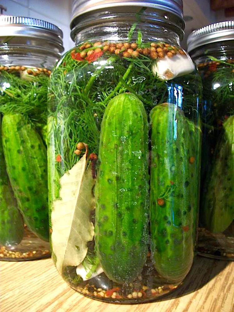 The Hirshon Authentic Jewish Half-Sour Dill Pickles | Gasweetie | Copy ...