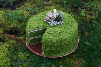 Stinging Nettle Moss Cake: | Tatia Veltkamp | Copy Me That